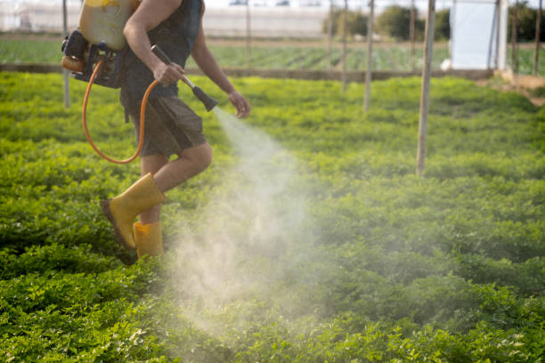 Best Pest Removal Services  in Great Neck, NY