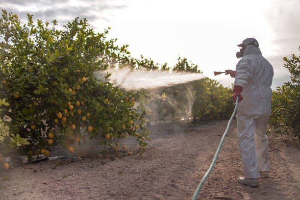 Best Pest Prevention Services  in Great Neck, NY